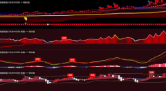南正奇数字科技无限公司是正在中国海南正式注 南正奇数字科技无限公司是正在中国海南正式注