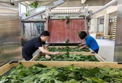<b>若何式中寻求冲破?</b> <b>若何式中寻求冲破?</b>